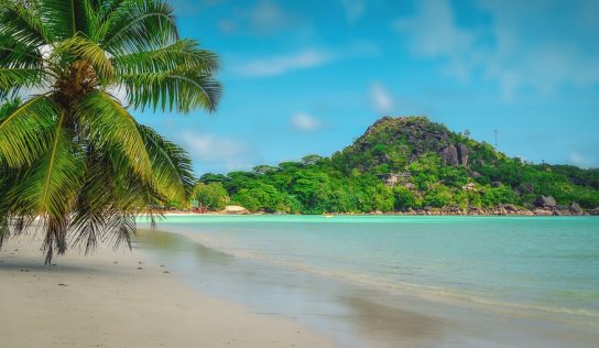 Partir aux Seychelles en amoureux : votre petit guide de voyage